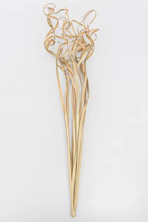 Achat Immédiat Branchage 'Ting Ting' beige